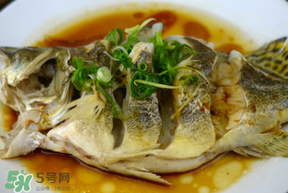 三月份吃什么魚？3月份吃什么魚好？