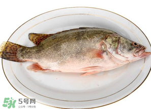 三月份吃什么魚？3月份吃什么魚好？