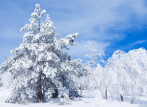 三月份還會(huì)下雪嗎？哈爾濱三月份還有雪嗎？