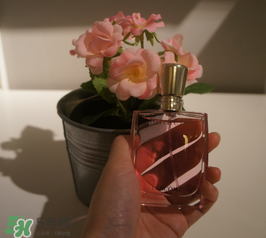 蘭蔻和迪奧香水哪個(gè)好？蘭蔻和迪奧香水推薦