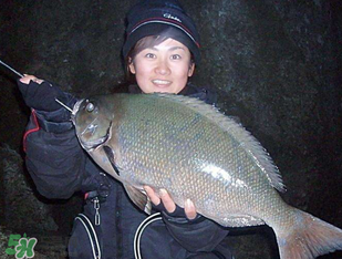 3月份釣魚用什么餌料？三月份釣魚用什么魚餌？