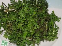 薺菜怎么洗？薺菜怎么洗才干凈？