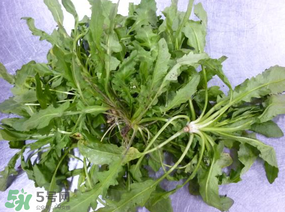 薺菜怎么保鮮？新鮮薺菜如何保鮮？