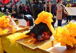 春分可以祭祀嗎？祭祀在春分前還是后？