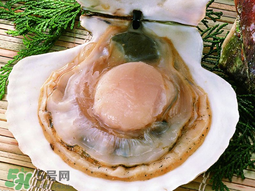 薺菜和扇貝可以一起吃嗎？薺菜扇貝湯的做法