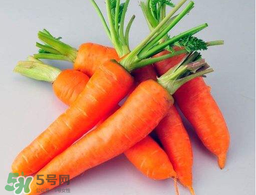 薺菜能和胡蘿卜一起吃嗎？薺菜可以和胡蘿卜一起吃嗎？