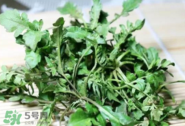 薺菜能和青菜一起吃嗎？薺菜和青菜一起吃好嗎？