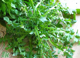 薺菜上有白點能吃嗎？薺菜背面有白點是什么？