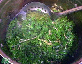 薺菜怎么焯水？薺菜焯水多久？