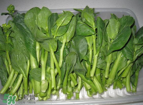 青菜苔可以吃嗎？青菜苔怎么做好吃？