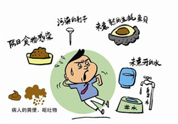 諾如病毒感染要隔離嗎？諾如病毒會(huì)傳染嗎？