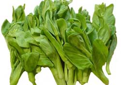 青菜苔可以吃嗎？青菜苔怎么做好吃？