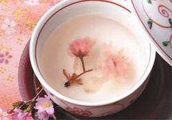 桃花酒孕婦可以喝嗎？懷孕了能喝桃花酒嗎？