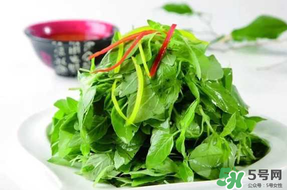 薺菜不能和什么一起吃？薺菜和什么相克？