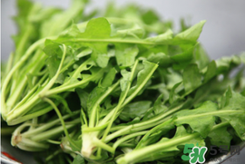 薺菜不能和什么一起吃？薺菜和什么相克？