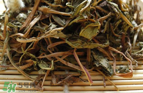 干的蒲公英多少錢一斤？蒲公英多少錢一斤干的？