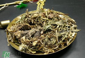 干的蒲公英多少錢一斤？蒲公英多少錢一斤干的？
