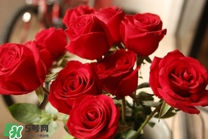 什么東西清火效果好？什么東西清火最快？