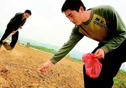 三月份可以種花生嗎？花生幾月份播種比較好？