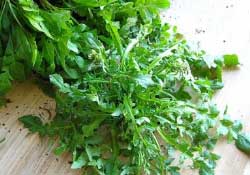 薺菜不能和什么一起吃？薺菜和什么相克？