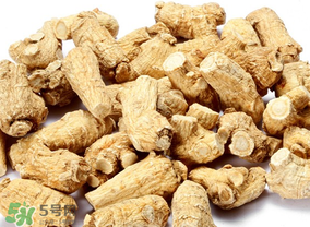 春天可以吃西洋參嗎？春天適合吃西洋參嗎？