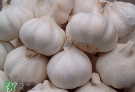 大蒜爛了一點還能吃嗎？大蒜爛根是怎么回事？