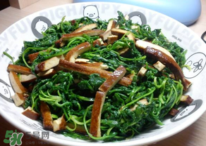 薺菜吃多了會中毒嗎？吃薺菜中毒怎么辦？