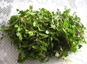 野生薺菜幾月份有？野生薺菜什么時(shí)候有？