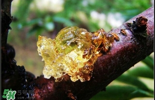 吃什么對(duì)皮膚好？怎么吃皮膚好？