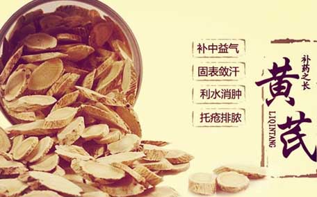 黃芪可以泡酒嗎 黃芪泡酒的功效與作用