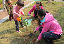 植樹節(jié)一般種什么樹？植樹節(jié)種什么樹比較好？
