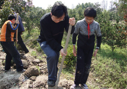植樹(shù)節(jié)怎樣種樹(shù)？植樹(shù)節(jié)種植的方法及步驟