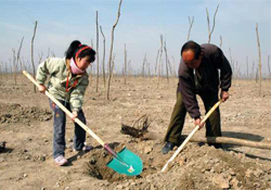 植樹(shù)節(jié)種樹(shù)要注意什么？植樹(shù)要注意哪些細(xì)節(jié)？