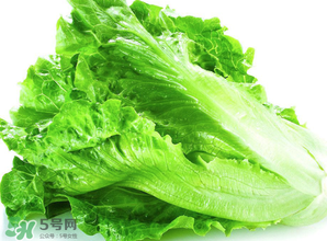 春天能種生菜嗎？生菜春天可以種嗎？