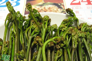 蕨菜為什么苦？蕨菜苦是怎么回事？