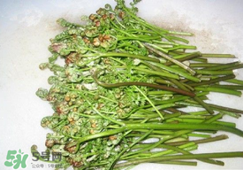 蕨菜怎么去苦味？蕨菜怎么做不苦？