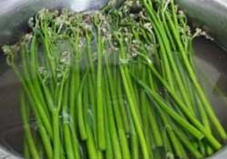 蕨菜怎么洗？蕨菜怎么清洗才干凈？
