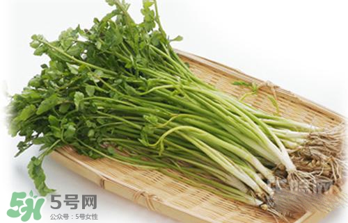 吃野芹菜會(huì)中毒嗎？吃野芹菜中毒了怎么辦？