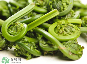 蕨菜怎么洗？蕨菜怎么清洗才干凈？