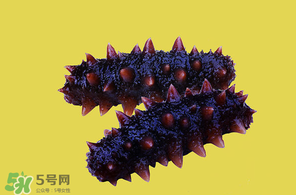 春天能吃海參嗎？春天吃海參效果好嗎？