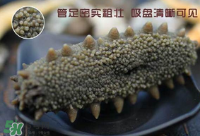 春天能吃海參嗎？春天吃海參效果好嗎？