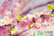 春天容易得水痘嗎？春天是水痘的高發(fā)季節(jié)嗎？