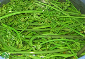 蕨菜怎么洗？蕨菜怎么清洗才干凈？