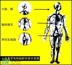 防輻射服什么時候開始穿？防輻射服真的有用嗎？