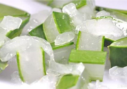 出水痘能用蘆薈膠嗎？水痘破了能擦蘆薈膠嗎？