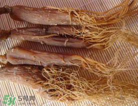 春天能吃紅參嗎？春天可以吃紅參嗎？