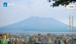 明治膠原蛋白粉怎么吃？明治膠原蛋白粉用法用量