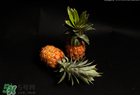 春天可以吃菠蘿嗎？春天吃菠蘿有什么好處？