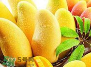 什么人不能吃芒果？哪些人不能吃芒果？