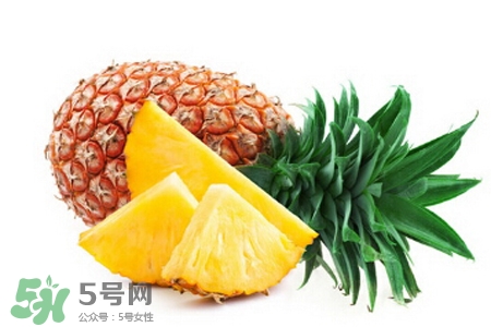3月份有菠蘿吃嗎？三月份菠蘿可以吃嗎？